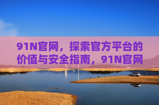 91N官网，探索官方平台的价值与安全指南，91N官网，官方平台价值与安全指南