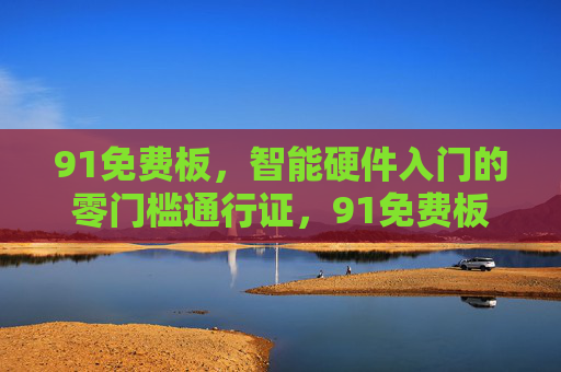 91免费板，智能硬件入门的零门槛通行证，91免费板，智能硬件入门的零门槛通行证