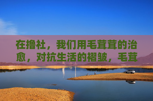 在撸社，我们用毛茸茸的治愈，对抗生活的褶皱，毛茸茸治愈，撸社抚平生活褶皱