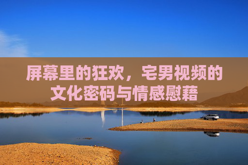 屏幕里的狂欢，宅男视频的文化密码与情感慰藉