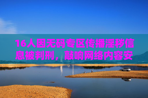 16人因无码专区传播淫秽信息被判刑，敲响网络内容安全警钟，16人因传播淫秽信息被判刑 敲响网络内容安全警钟