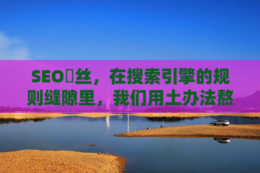 SEO屌丝,在搜索引擎的规则缝隙里,我们用土办法熬着互联网的粥,SEO屌丝,规则缝隙里用土办法熬互联网的粥