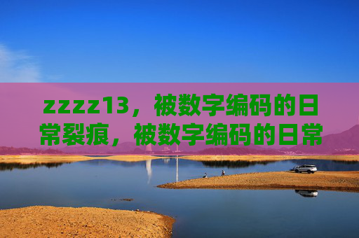 zzzz13,被数字编码的日常裂痕,被数字编码的日常裂痕