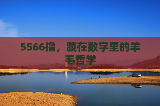 5566撸，藏在数字里的羊毛哲学
