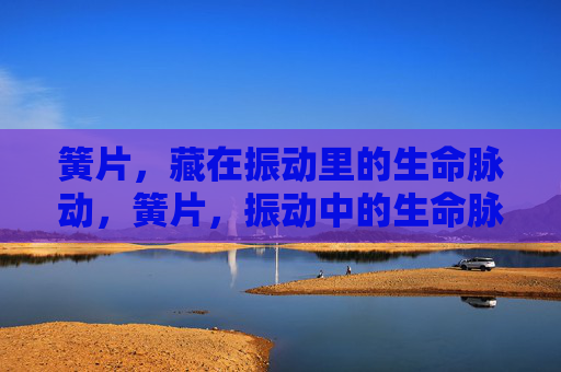 簧片，藏在振动里的生命脉动，簧片，振动中的生命脉动