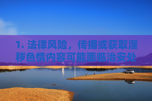 1. 法律风险，传播或获取淫秽色情内容可能面临治安处罚乃至刑事责任，切勿触碰法律红线