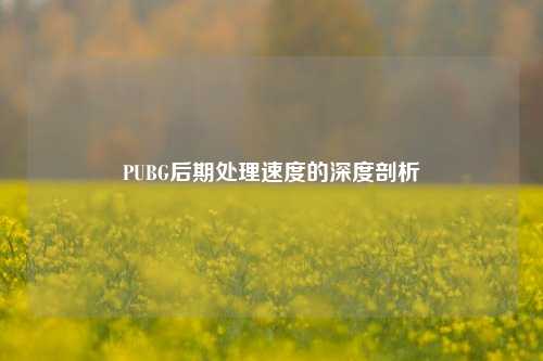 PUBG后期处理速度的深度剖析