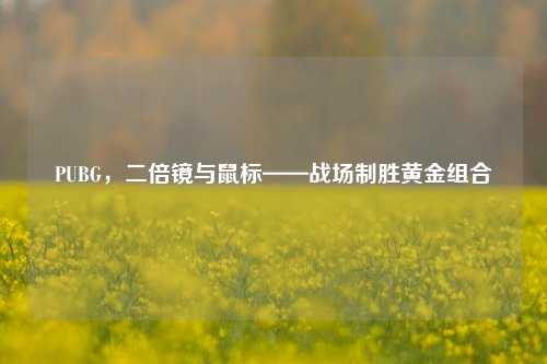 PUBG，二倍镜与鼠标——战场制胜黄金组合