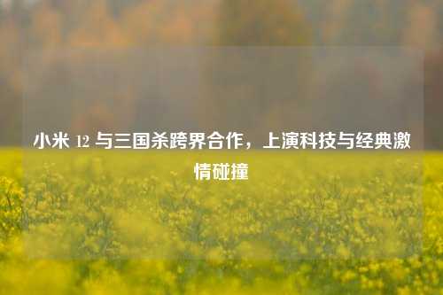 小米 12 与三国杀跨界合作，上演科技与经典***碰撞