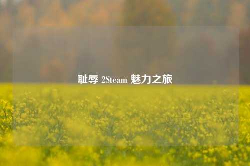 耻辱 2Steam 魅力之旅