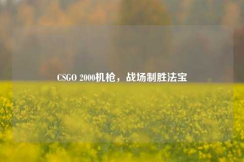 CSGO 2000机枪，战场制胜法宝