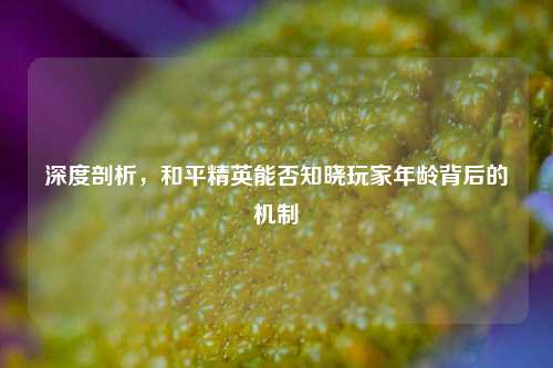深度剖析，和平精英能否知晓玩家年龄背后的机制