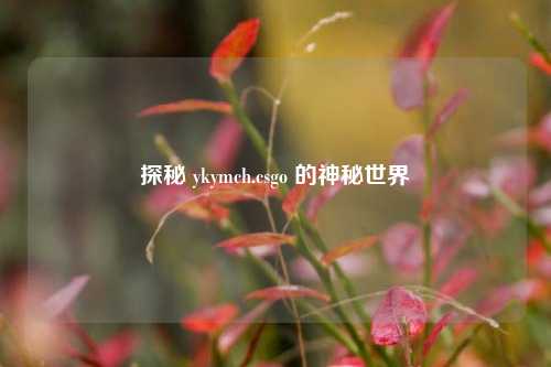 探秘 ykymch.csgo 的神秘世界