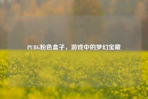 PUBG粉色盒子，游戏中的梦幻宝藏