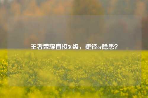 王者荣耀直接30级,捷径or隐患?