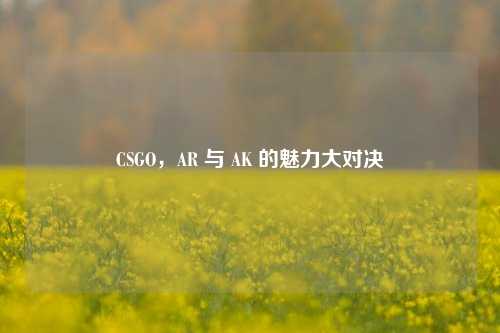 CSGO，AR 与 AK 的魅力大对决