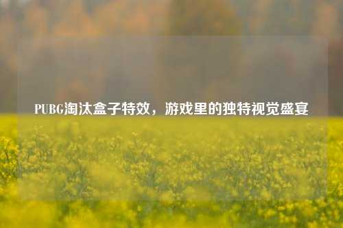 PUBG淘汰盒子特效，游戏里的独特视觉盛宴