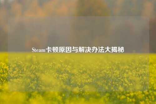 Steam卡顿原因与解决办法大揭秘