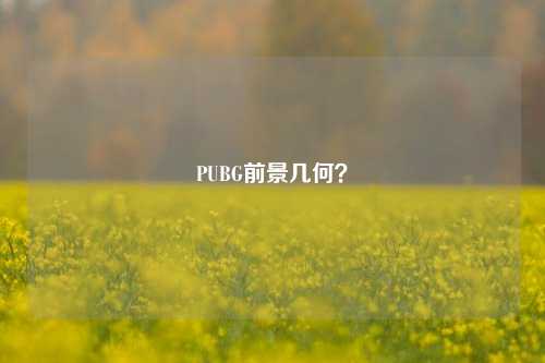 PUBG前景几何？