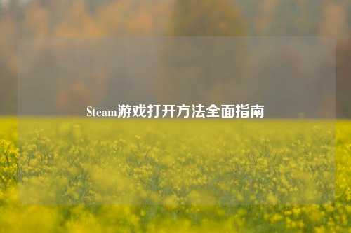 Steam游戏打开方法全面指南