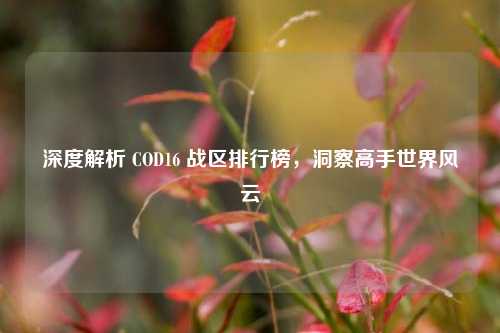 深度解析 COD16 战区排行榜，洞察高手世界风云
