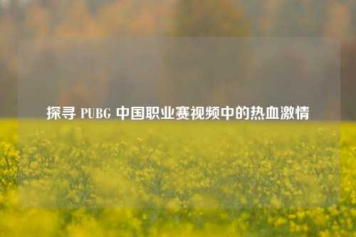 探寻 PUBG 中国职业赛视频中的热血***