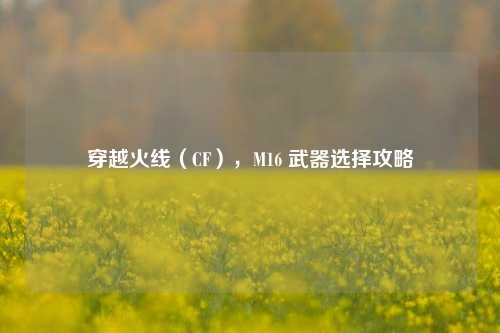 穿越火线（CF），M16 武器选择攻略