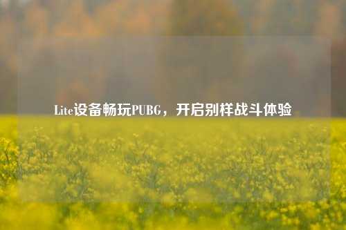 Lite设备畅玩PUBG，开启别样战斗体验