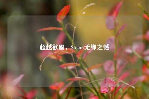 超越欲望，Steam无缘之憾
