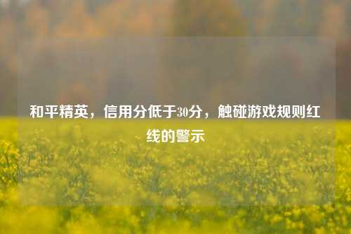 和平精英，信用分低于30分，触碰游戏规则红线的警示