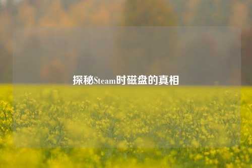 探秘Steam时磁盘的真相