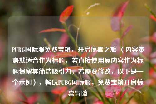 PUBG国际服免费宝箱，开启惊喜之旅 （内容本身就适合作为标题，若直接使用原内容作为标题保留其简洁吸引力，若需要修改，以下是一个示例），畅玩PUBG国际服，免费宝箱开启惊喜冒险