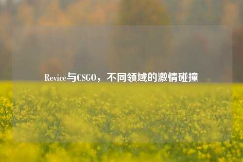 Revice与CSGO，不同领域的***碰撞
