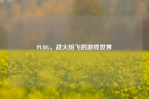 PUBG，战火纷飞的游戏世界
