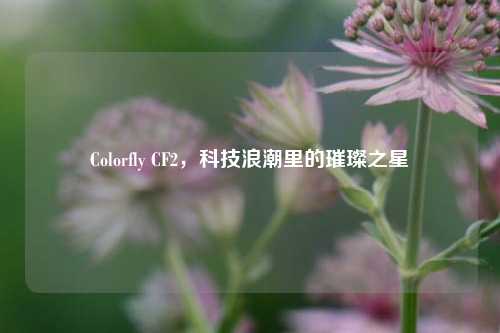 Colorfly CF2，科技浪潮里的璀璨之星