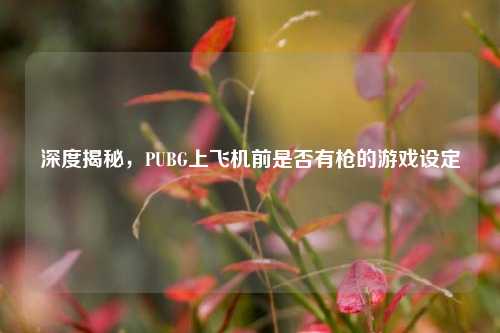 深度揭秘,PUBG上飞机前是否有枪的游戏设定