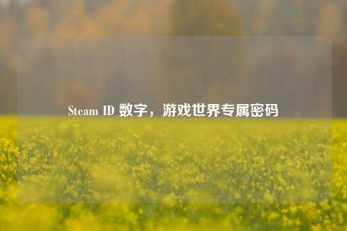 Steam ID 数字，游戏世界专属密码