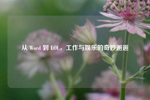 从 Word 到 LOL，工作与娱乐的奇妙邂逅