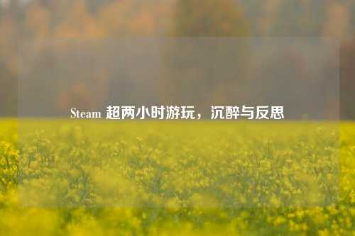 Steam 超两小时游玩,沉醉与反思