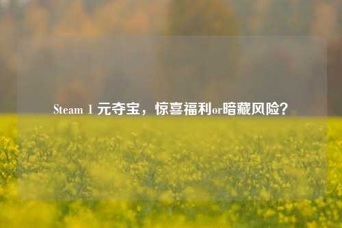 Steam 1 元夺宝，惊喜福利or暗藏风险？