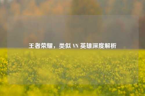 王者荣耀，类似 VN 英雄深度解析