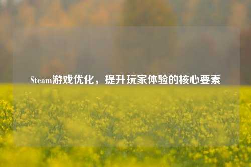 Steam游戏优化，提升玩家体验的核心要素
