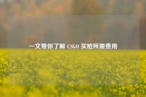 一文带你了解 CSGO 买枪所需费用