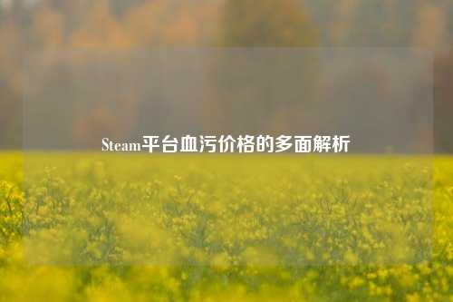 Steam平台血污价格的多面解析