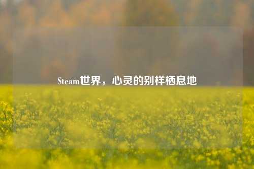 Steam世界，心灵的别样栖息地