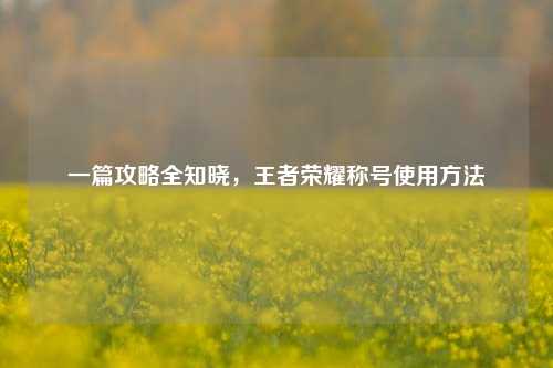 一篇攻略全知晓，王者荣耀称号使用方法