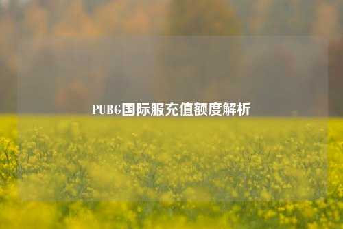 PUBG国际服充值额度解析