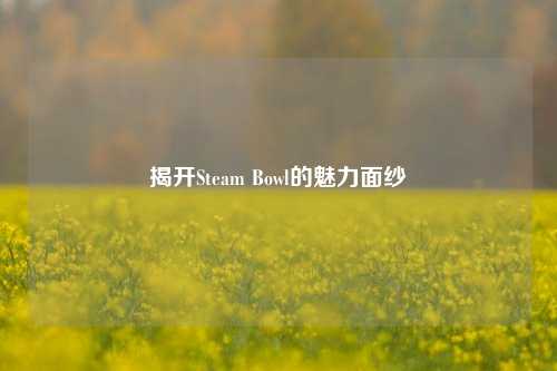 揭开Steam Bowl的魅力面纱