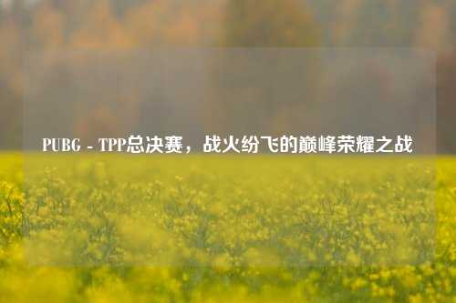 PUBG - TPP总决赛，战火纷飞的巅峰荣耀之战