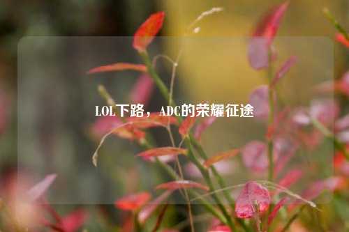 LOL下路，ADC的荣耀征途